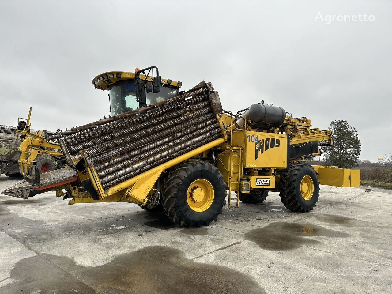 Ropa euro-Maus 2 beet harvester