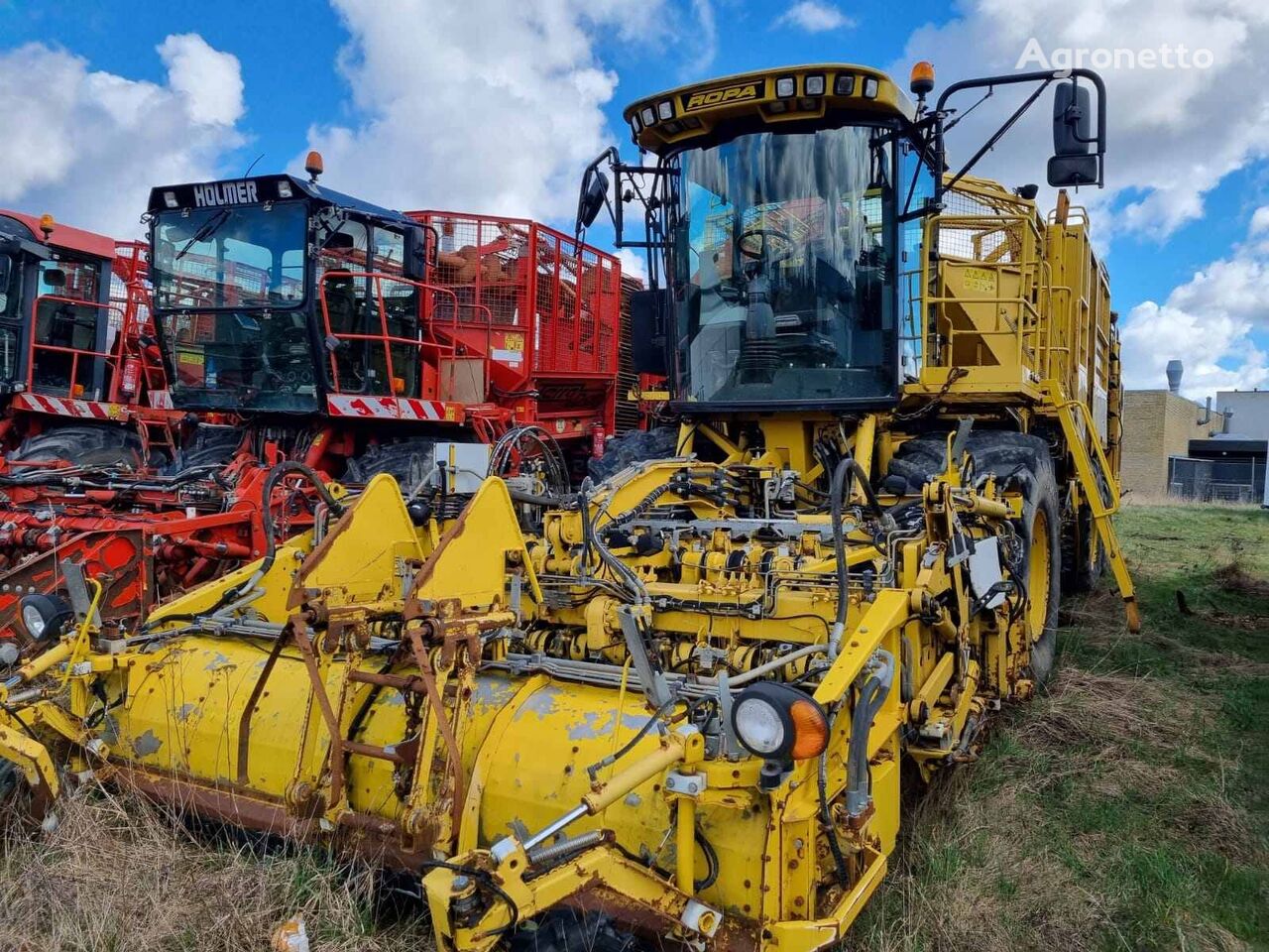 Ropa euro-Tiger V8-4b beet harvester