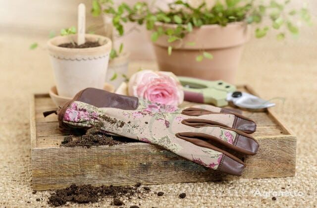 Rękawiczki krótkie Classic other garden tool