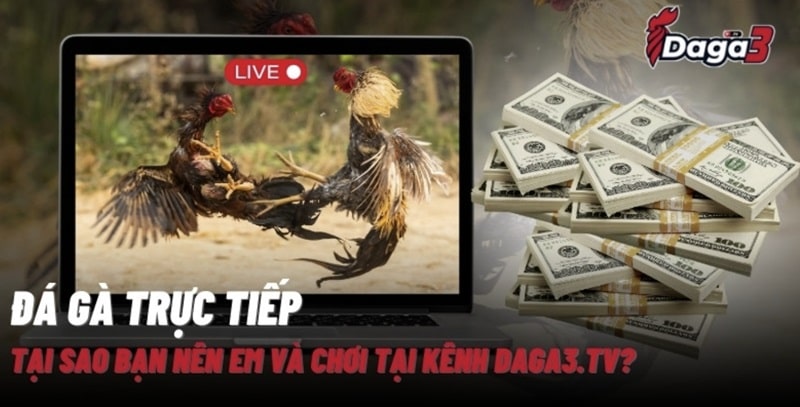 Giới thiệu về kênh đá gà trực tiếp thomo agronetto.in