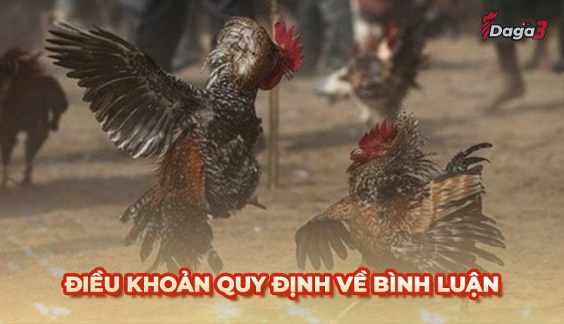 Người dùng cần tuân thủ một số điều khoản khi bình luận trên agronetto.in