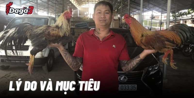 Mít Trà Cú sáng lập trang đá gà trực tiếp agronetto.in